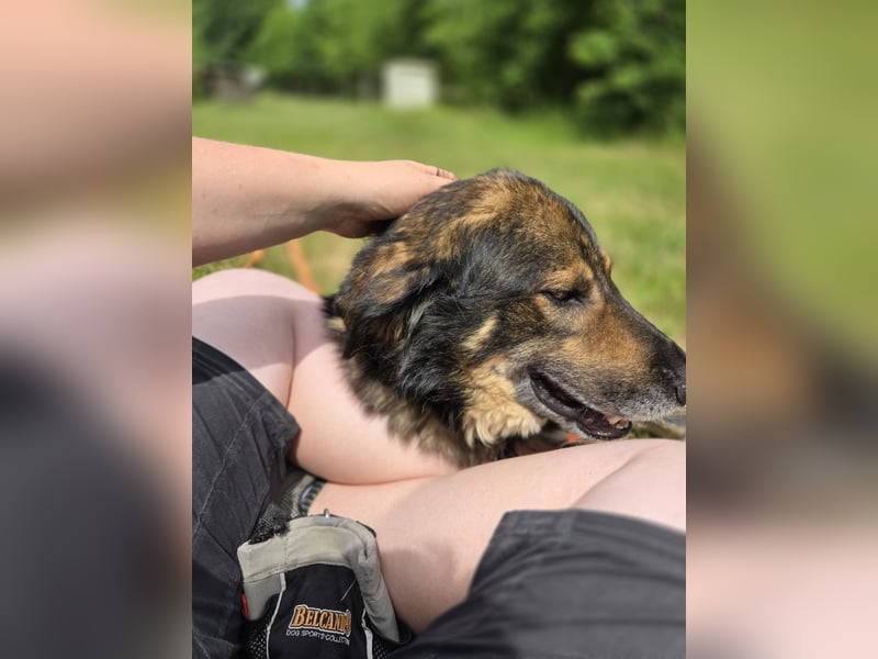 Morti sucht ein neues Zuhause