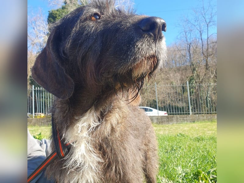 Nico: wann scheint für ihn die Sonne?