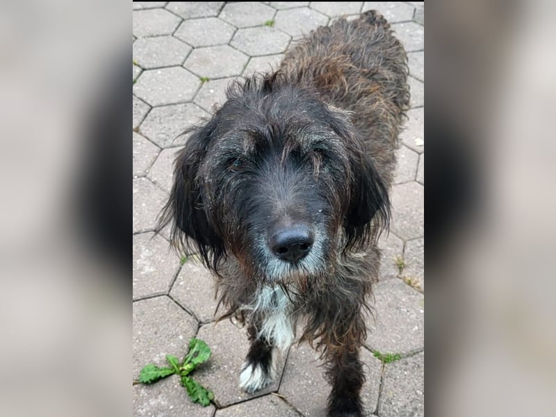 Nico: wann scheint für ihn die Sonne?