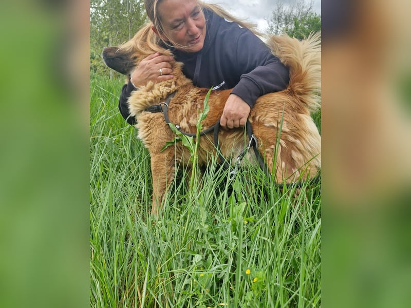 Orso sucht sein Körbchen