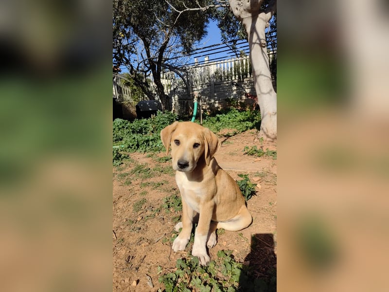  Flopsy – Kleines Herz auf der Suche nach seinem großen Glück 
