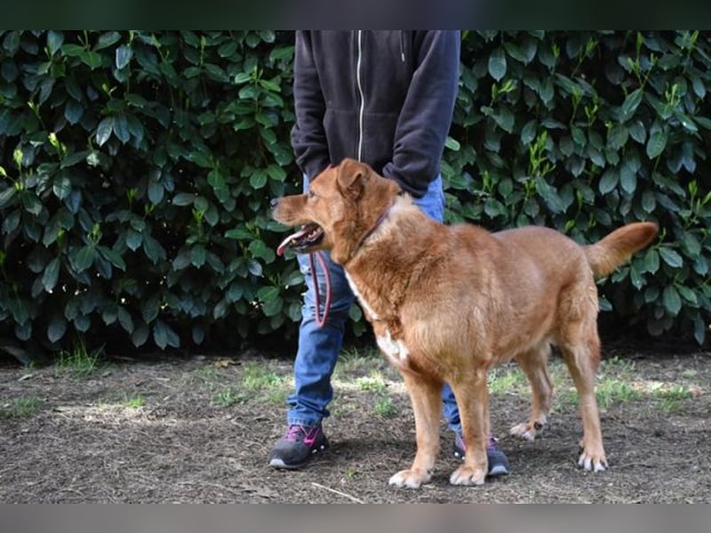Vivaldo- wen rührt sein trauriger Blick ?