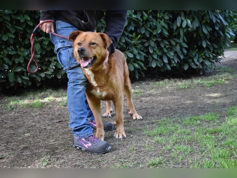 Vivaldo- wen rührt sein trauriger Blick ?