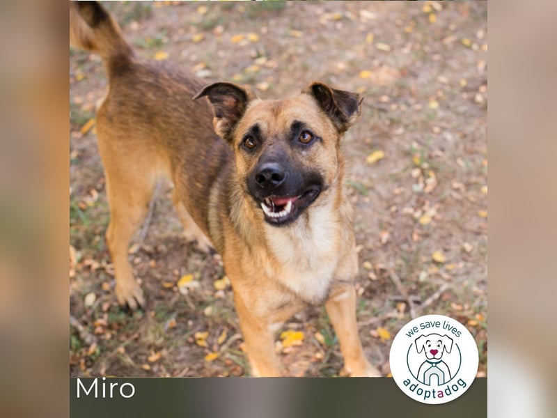 Miro: Entdecker mit Herz