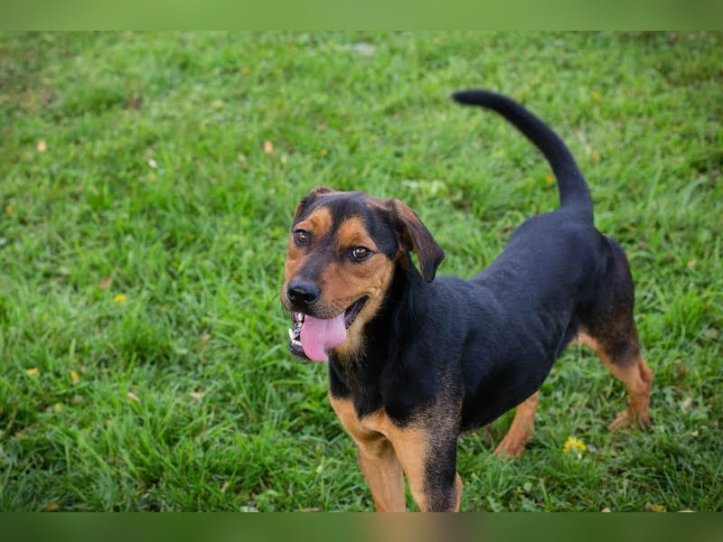 Rico – Findet der kleine Sausewind bei dir seinen Platz? 