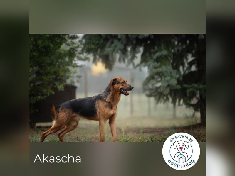 Akascha: Möchte endlich nach Hause!