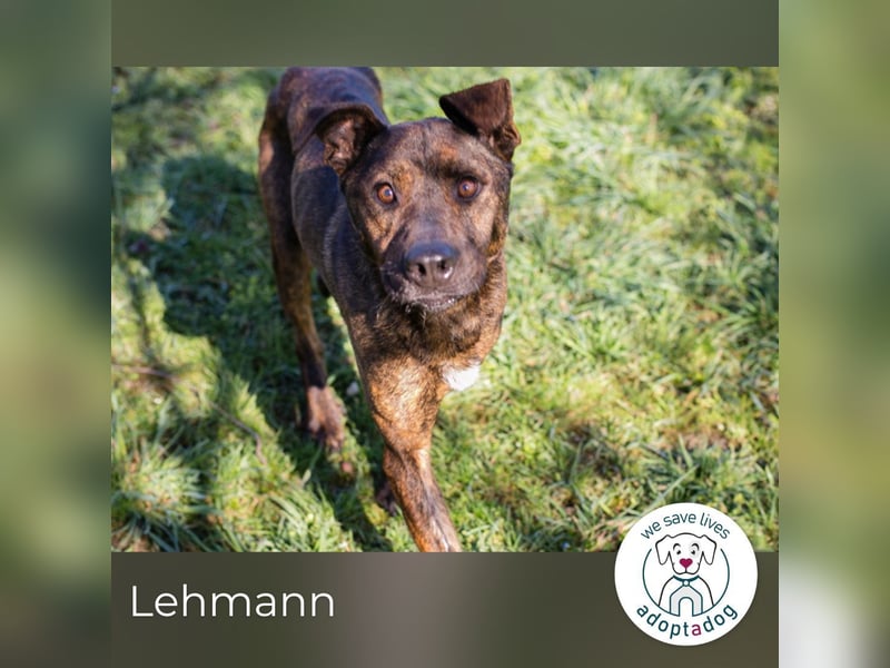 Lehmann: erzählt seine Geschichte