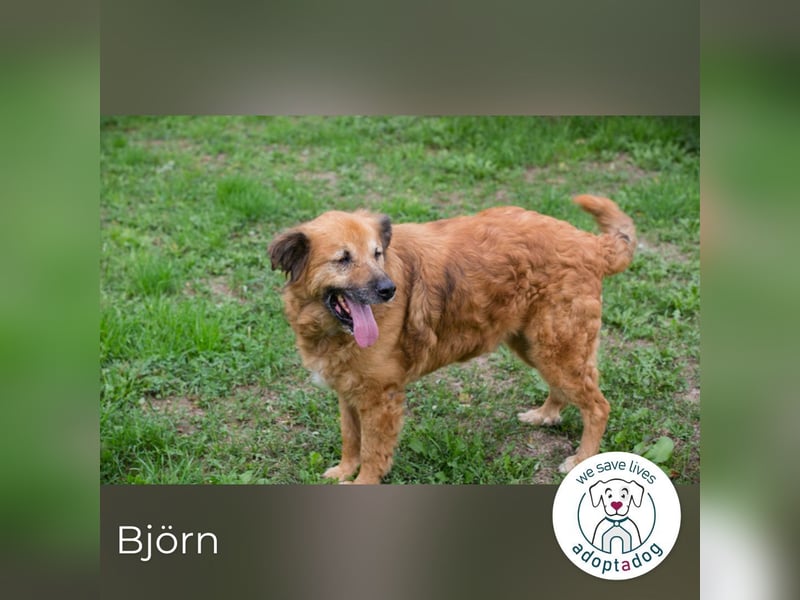 Björn: Lieber Sonnenschein