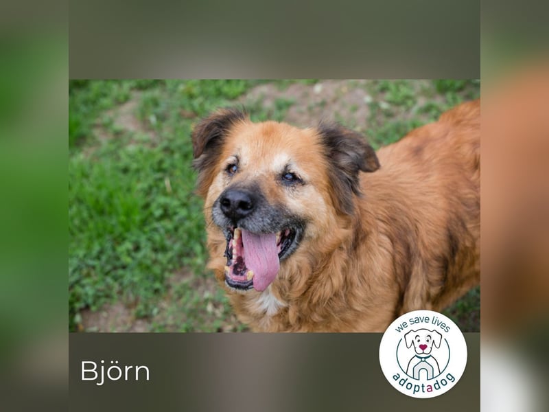 Björn: Lieber Sonnenschein
