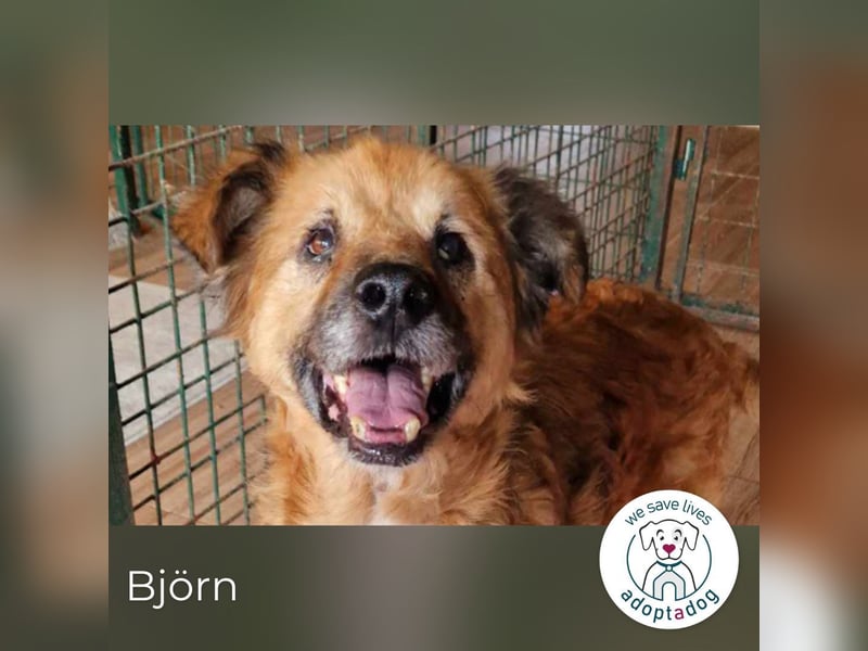 Björn: Lieber Sonnenschein
