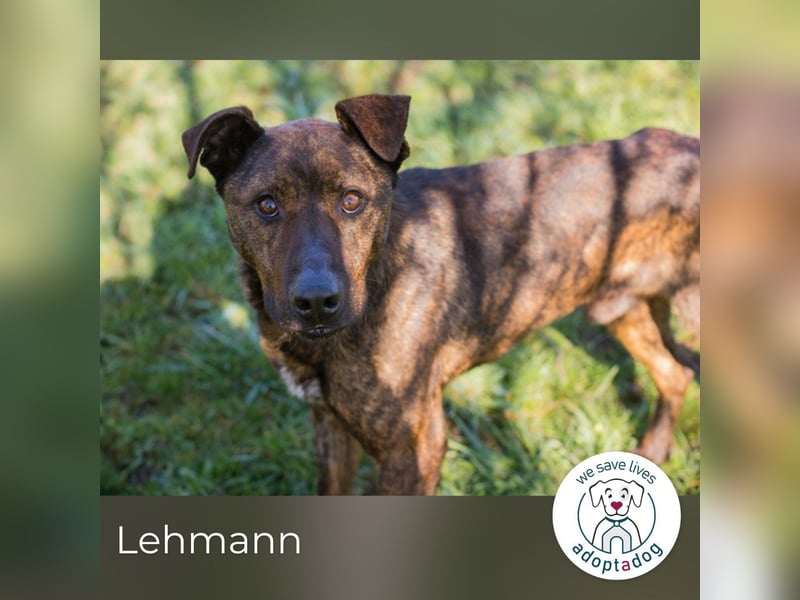 Lehmann: erzählt seine Geschichte
