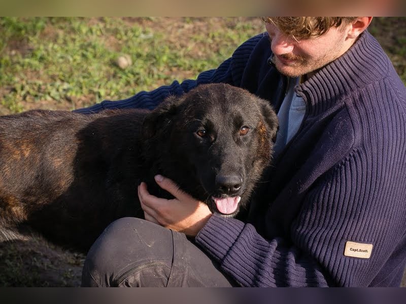 Mateo: sucht Geborgenheit