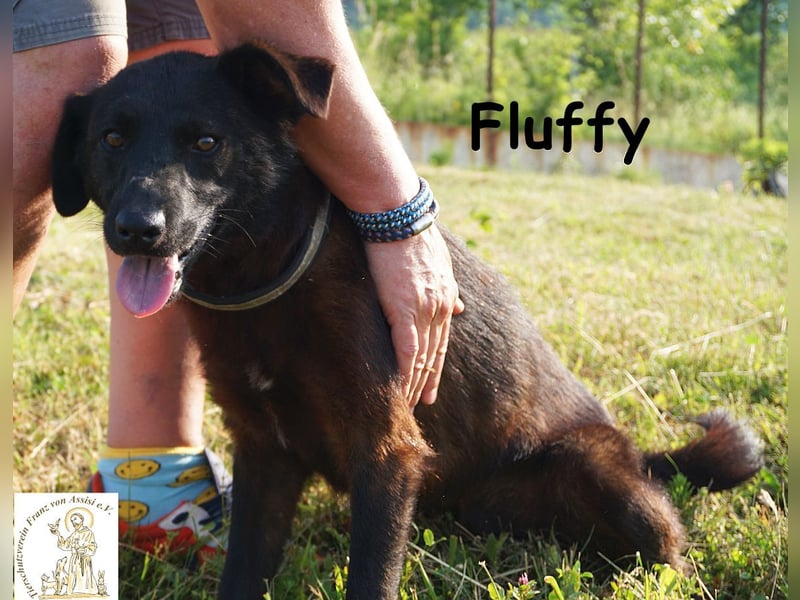 Fluffy – ein bisschen Wirbel und ganz viel Liebe