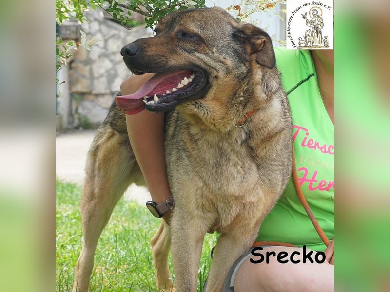 Srecko – Energiebündel mit Herz und Schalk im Nacken!