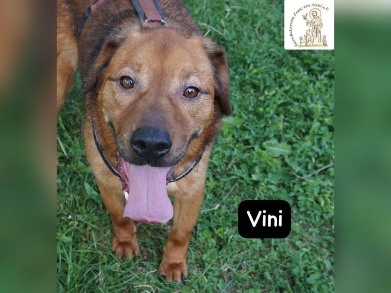 Vini – Mission Freiheit!