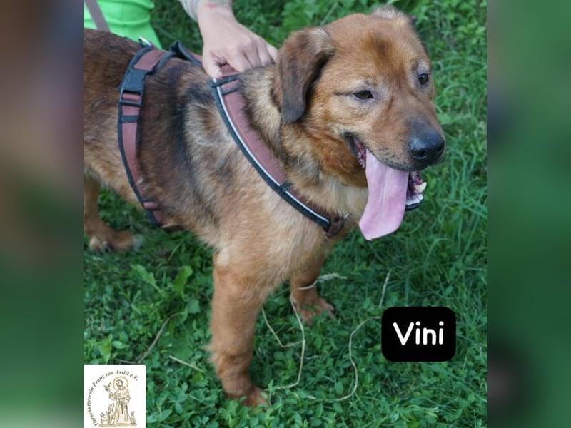 Vini – Mission Freiheit!