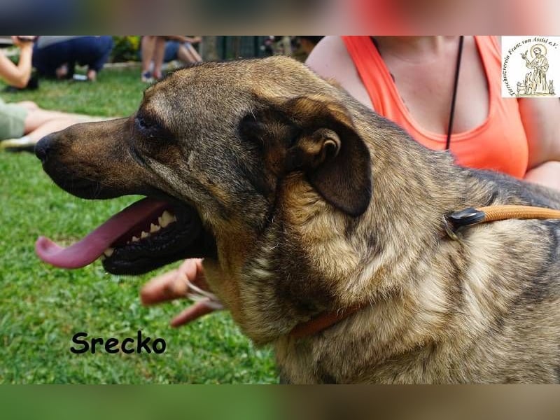 Srecko – Energiebündel mit Herz und Schalk im Nacken!