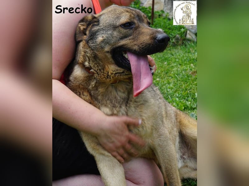 Srecko – Energiebündel mit Herz und Schalk im Nacken!