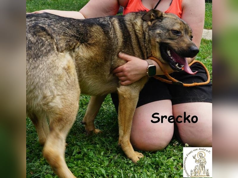 Srecko – Energiebündel mit Herz und Schalk im Nacken!