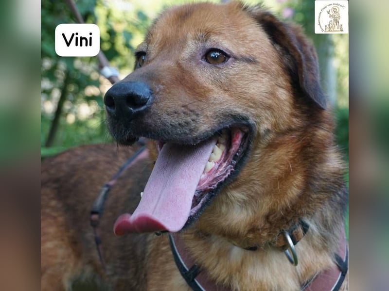 Vini – Mission Freiheit!