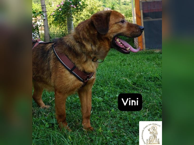 Vini – Mission Freiheit!