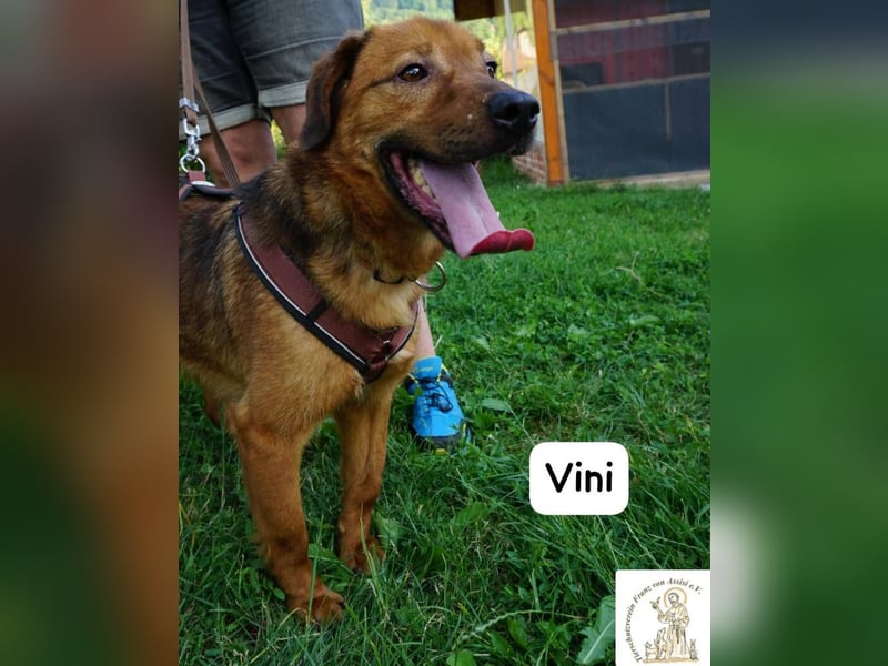 Vini – Mission Freiheit!