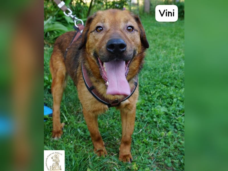 Vini – Mission Freiheit!