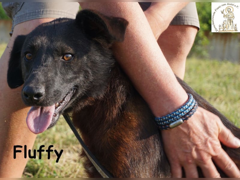 Fluffy – ein bisschen Wirbel und ganz viel Liebe