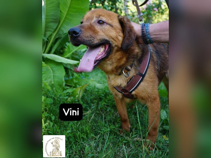 Vini – Mission Freiheit!