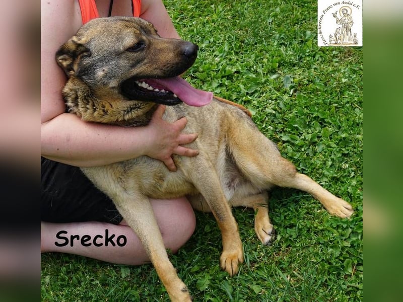Srecko – Energiebündel mit Herz und Schalk im Nacken!
