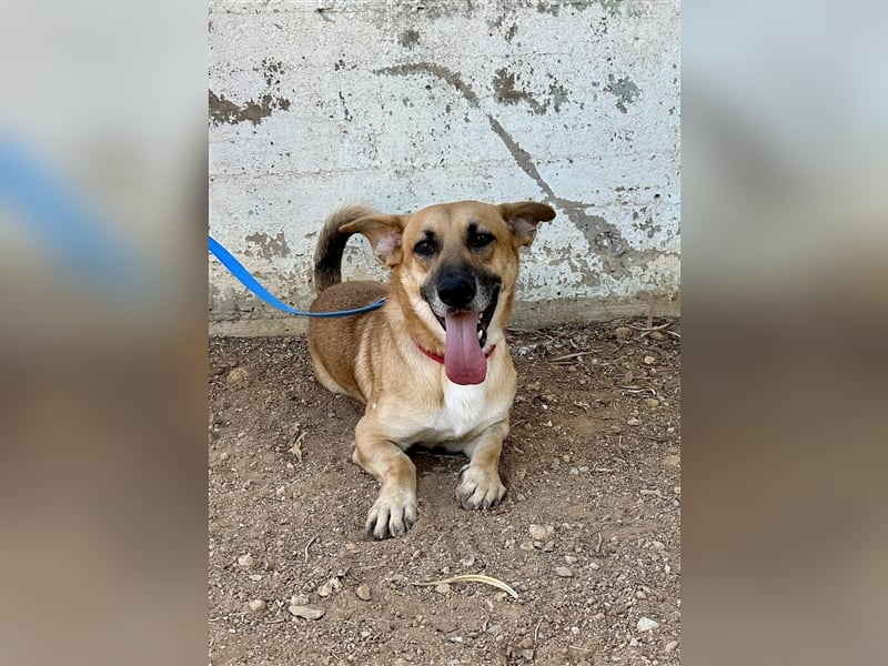 Liebevoller Marlon sucht eigene Familie
