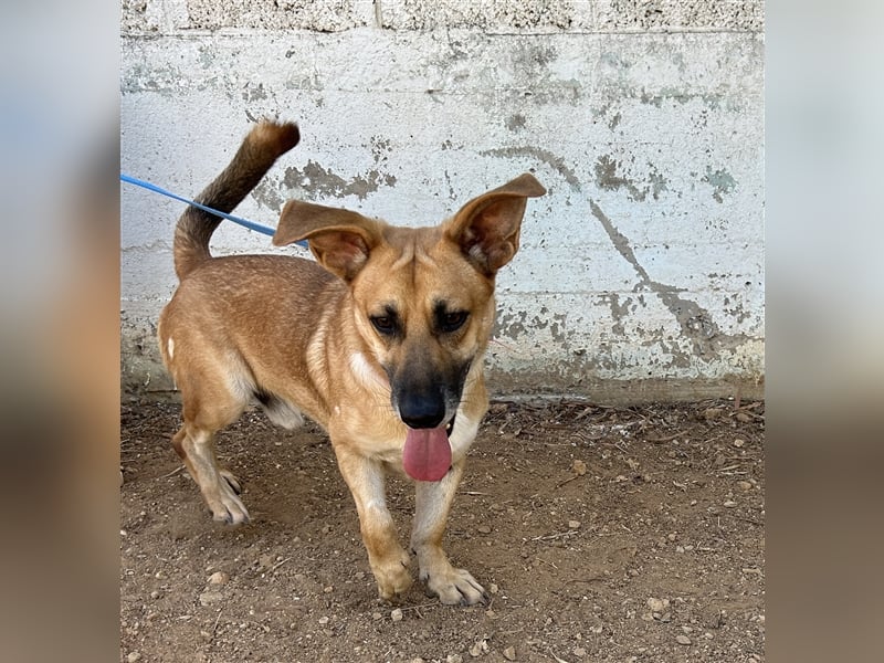 Liebevoller Marlon sucht eigene Familie