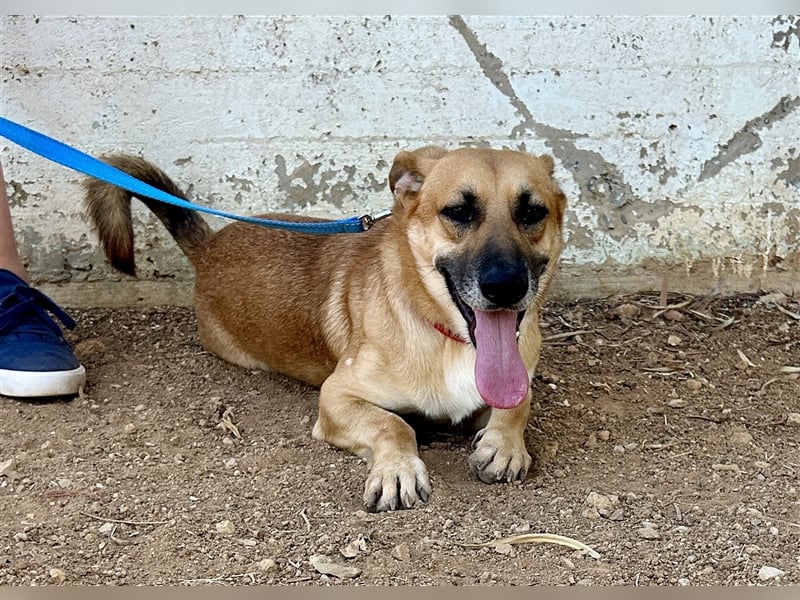 Liebevoller Marlon sucht eigene Familie