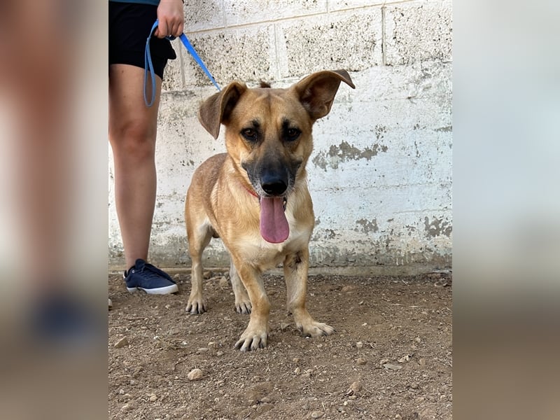 Liebevoller Marlon sucht eigene Familie