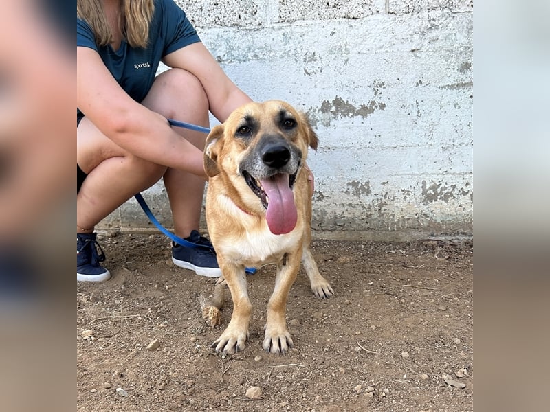Liebevoller Marlon sucht eigene Familie