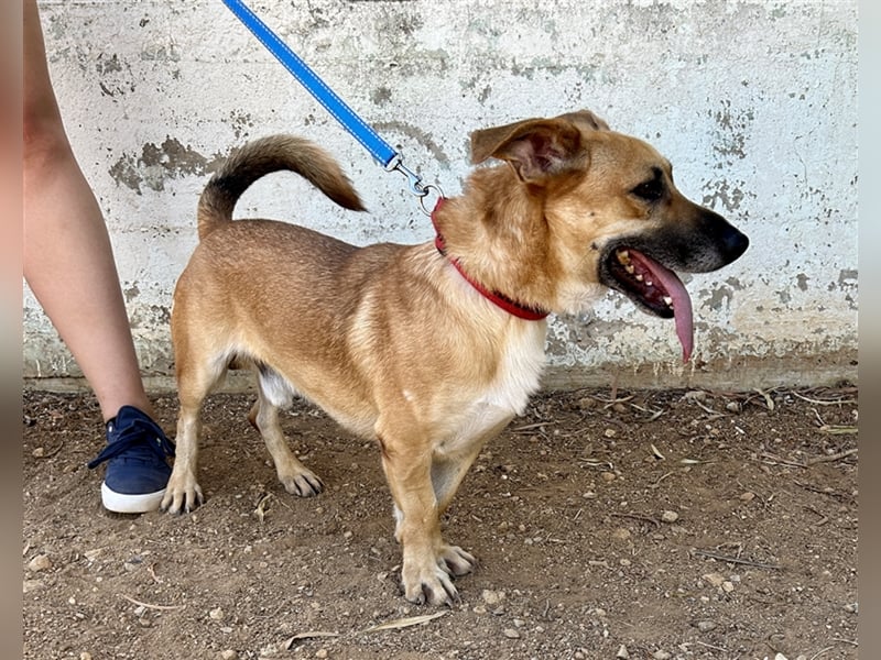 Liebevoller Marlon sucht eigene Familie