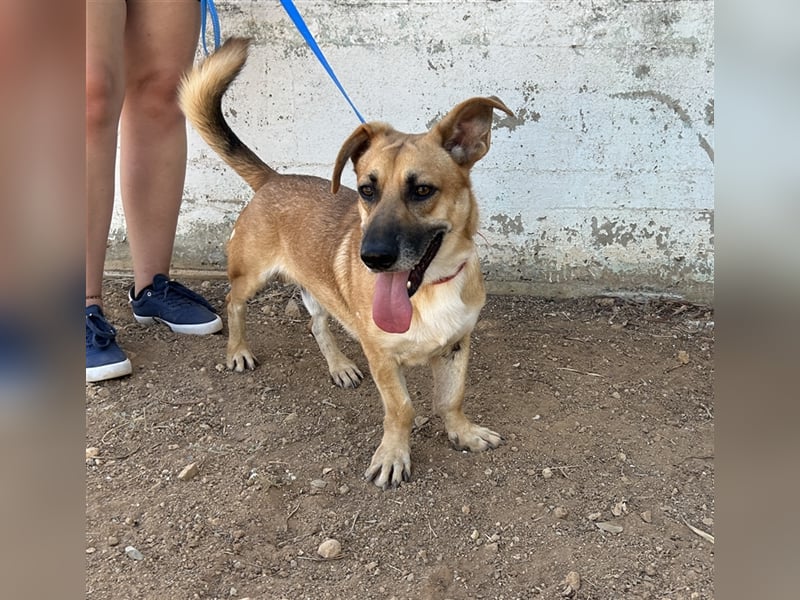Liebevoller Marlon sucht eigene Familie