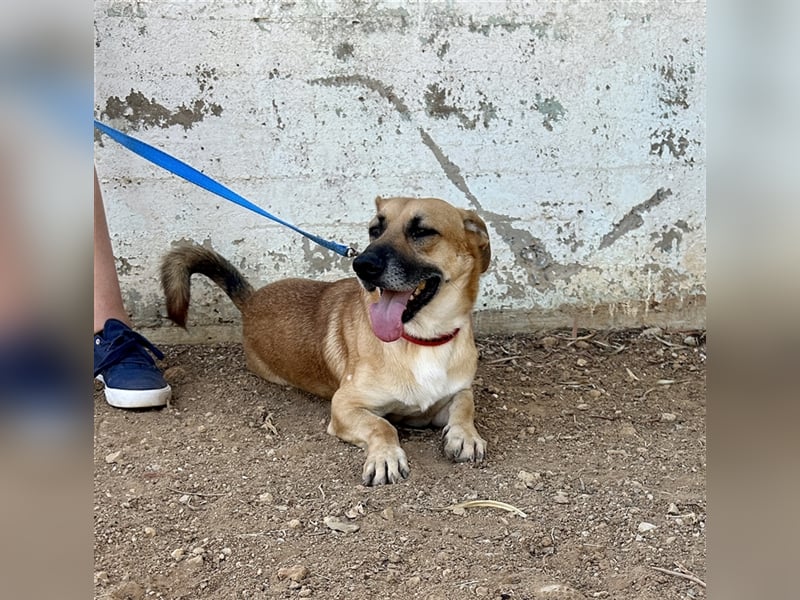 Liebevoller Marlon sucht eigene Familie