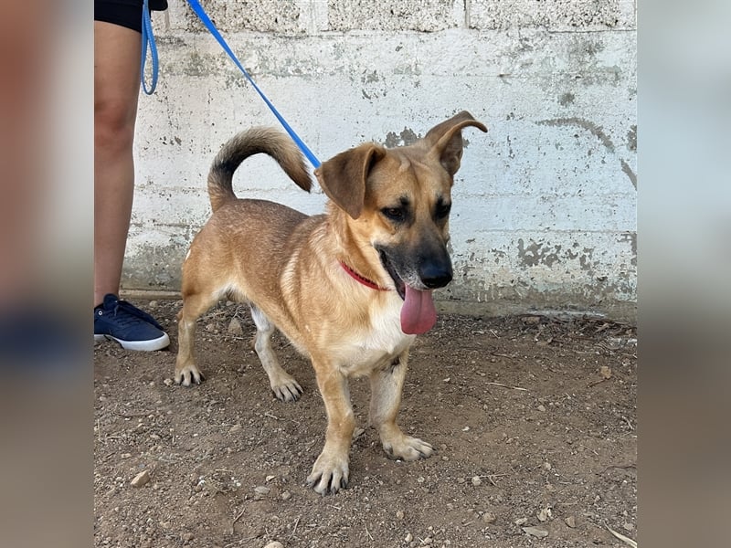 Liebevoller Marlon sucht eigene Familie