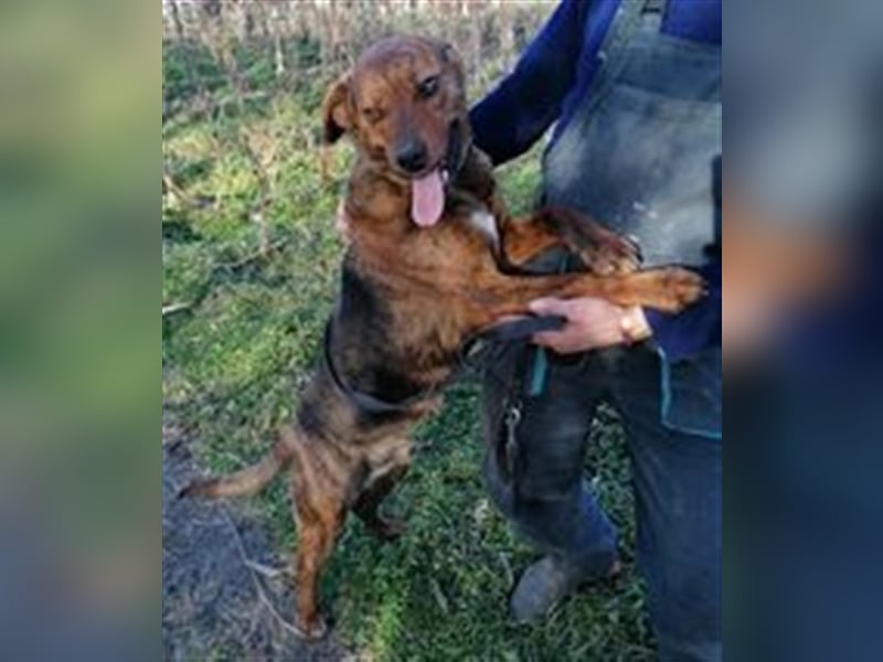 ERNO sucht liebevolles Zuhause