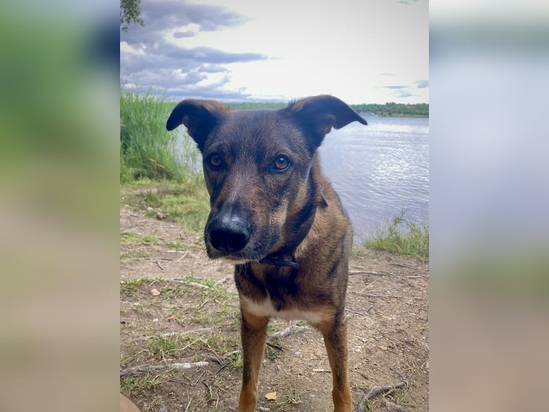 Tucker braucht ein neues Zuhause