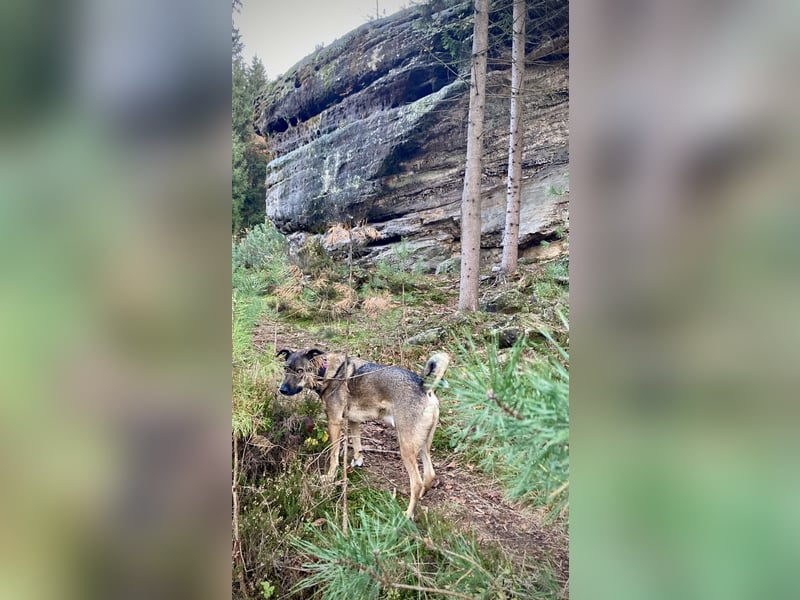 Tucker braucht ein neues Zuhause