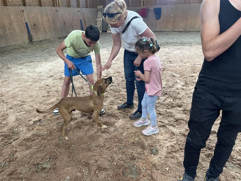 Hercules sucht ein Zuhause