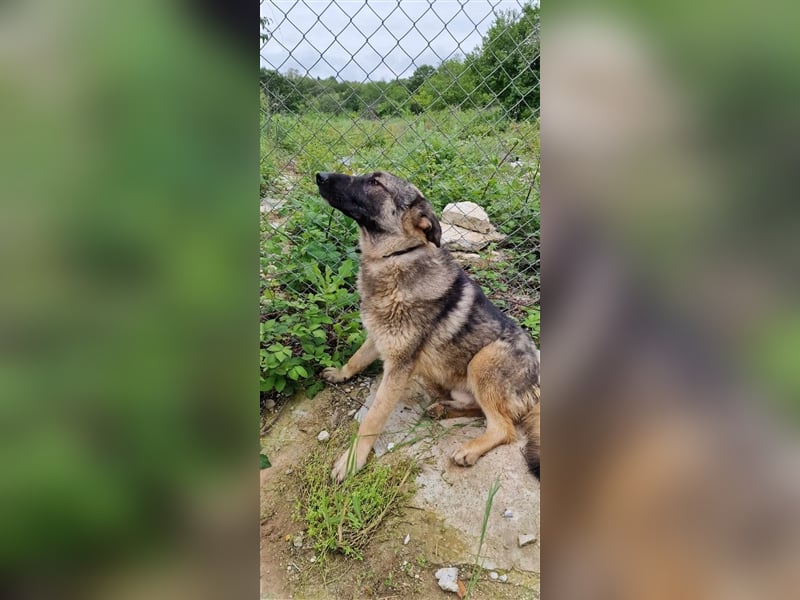 FABRICIO ❤  wartet in 52441 Linnich-Gereonsweiler auf Dich