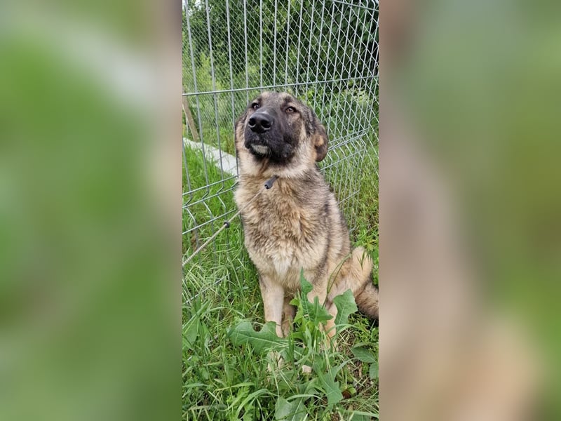 FABRICIO ❤  wartet in 52441 Linnich-Gereonsweiler auf Dich