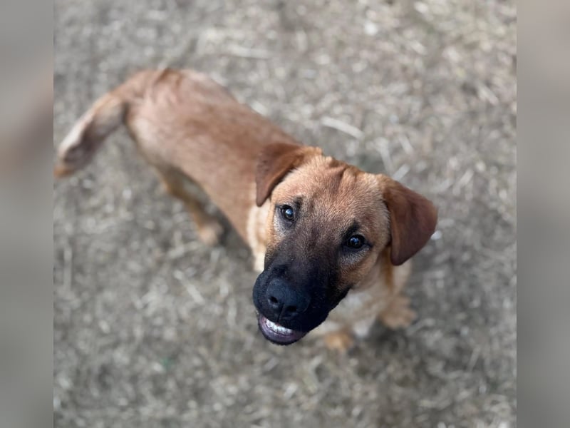 Menschenbezogener Tux sucht Familie