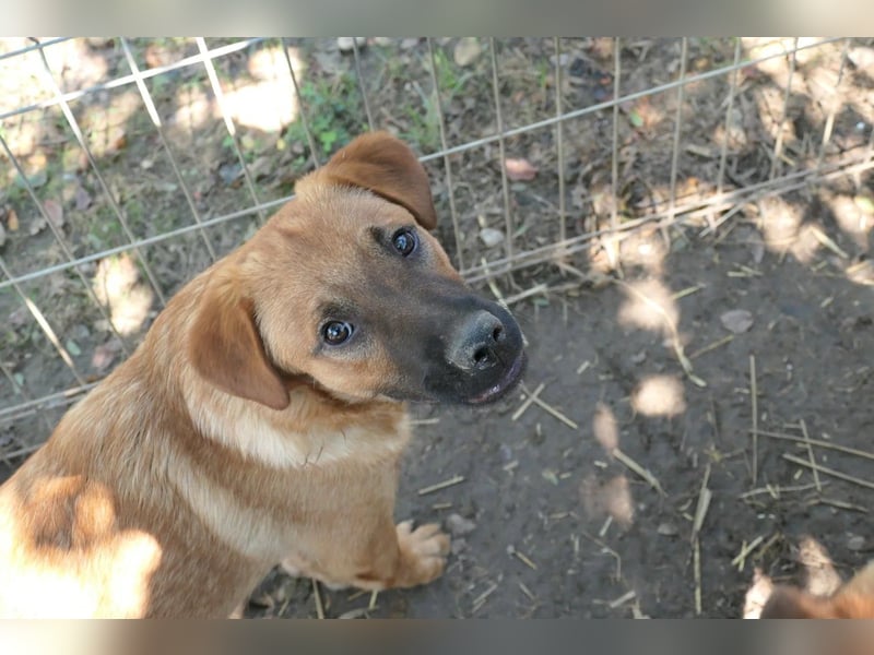 Menschenbezogener Tux sucht Familie