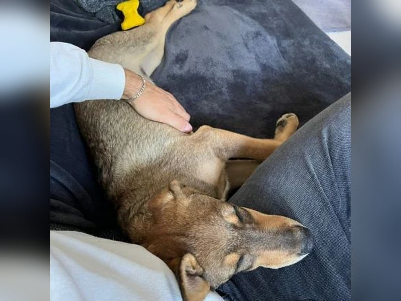 Taco (ehemals Azusa)