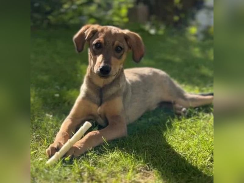 Taco (ehemals Azusa)