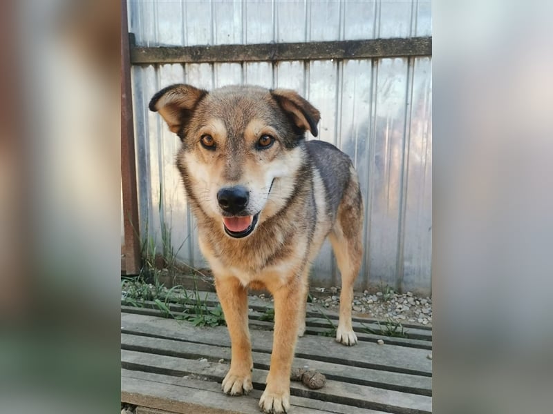 Max - wartet schon sooo lange